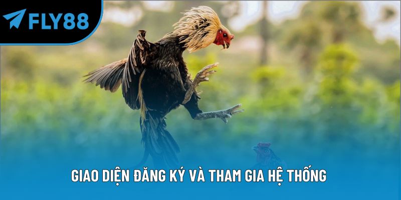 Giao diện đăng ký và tham gia hệ thống